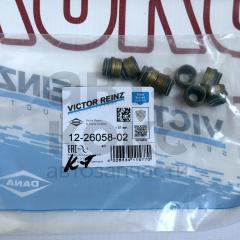 Комплект сальників клапанів VICTOR REINZ 122605802 SKODA FABIA OCTAVIA SUPERB VW CADDY GOLF JETTA