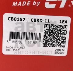 Кульова опора CTR CBKD-11 Chevrolet/Daewoo Lacetti, Nubira 1.4-2.0- фото 5 | Интернет-магазин Авто-Кокс
